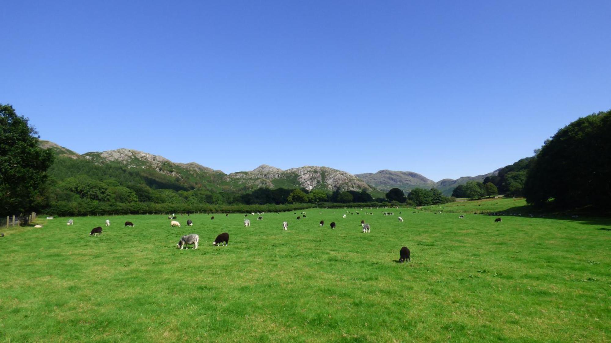 Renovated 5 Bedroom Farmhouse In Picturesque Eskdale, Lake District Εξωτερικό φωτογραφία