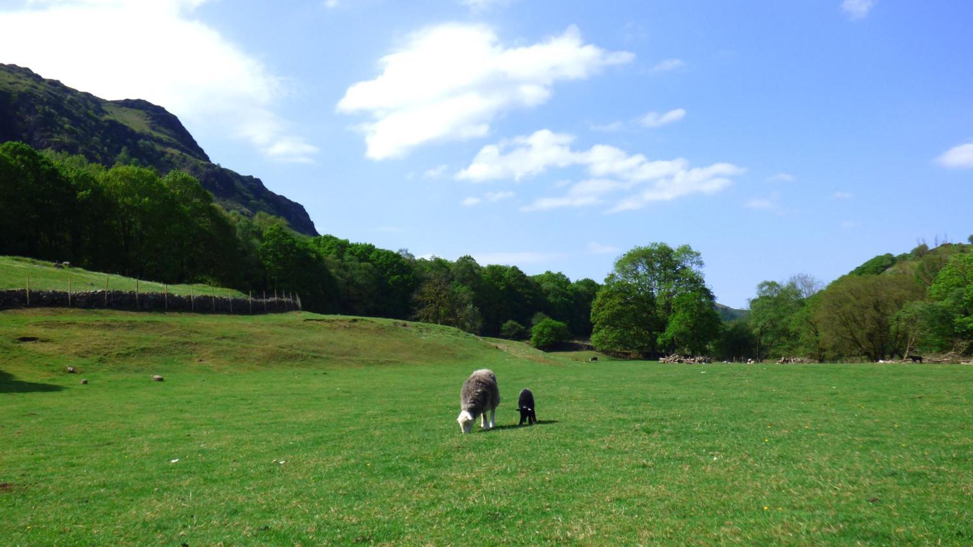 Renovated 5 Bedroom Farmhouse In Picturesque Eskdale, Lake District Εξωτερικό φωτογραφία