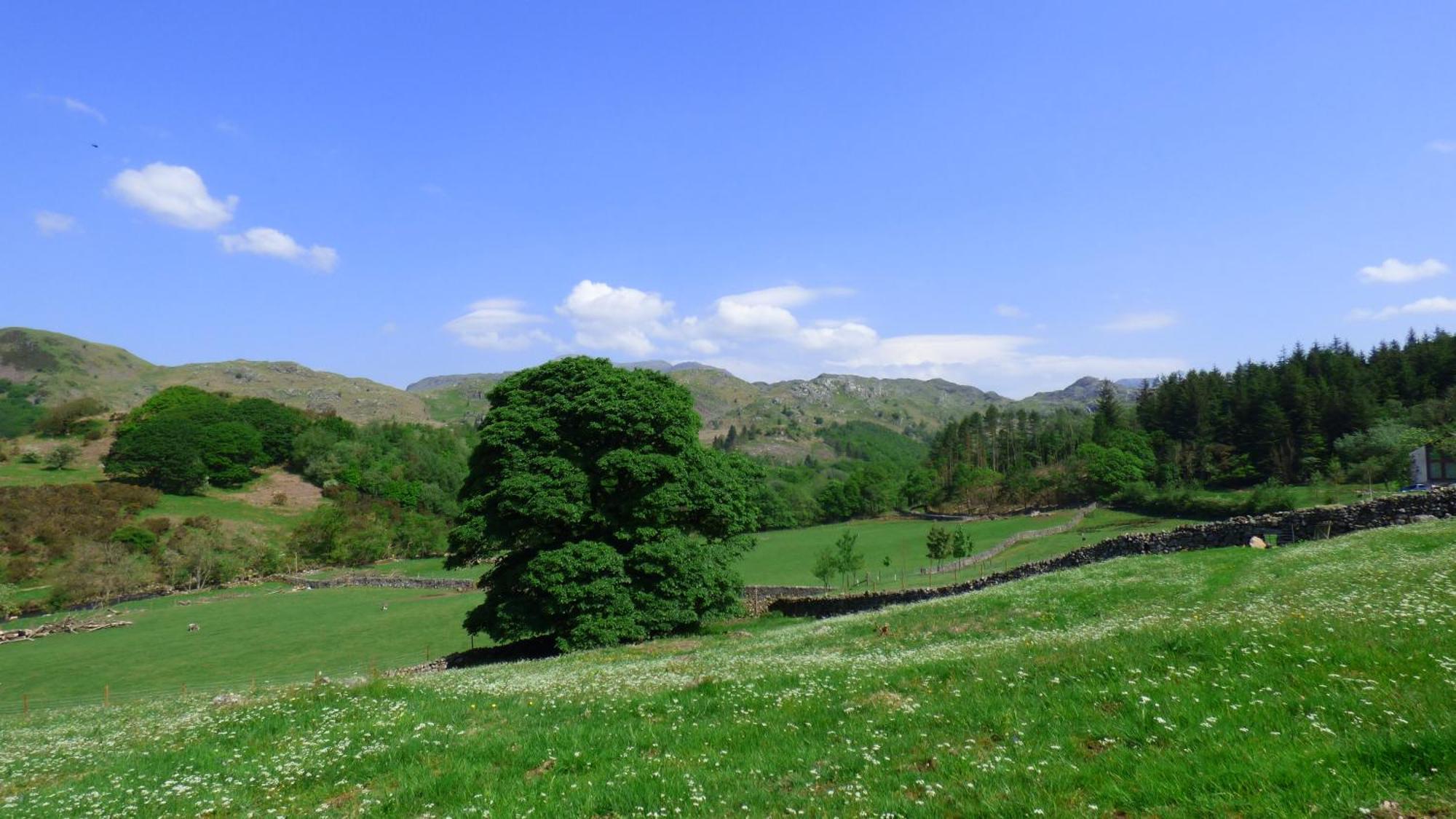 Renovated 5 Bedroom Farmhouse In Picturesque Eskdale, Lake District Εξωτερικό φωτογραφία