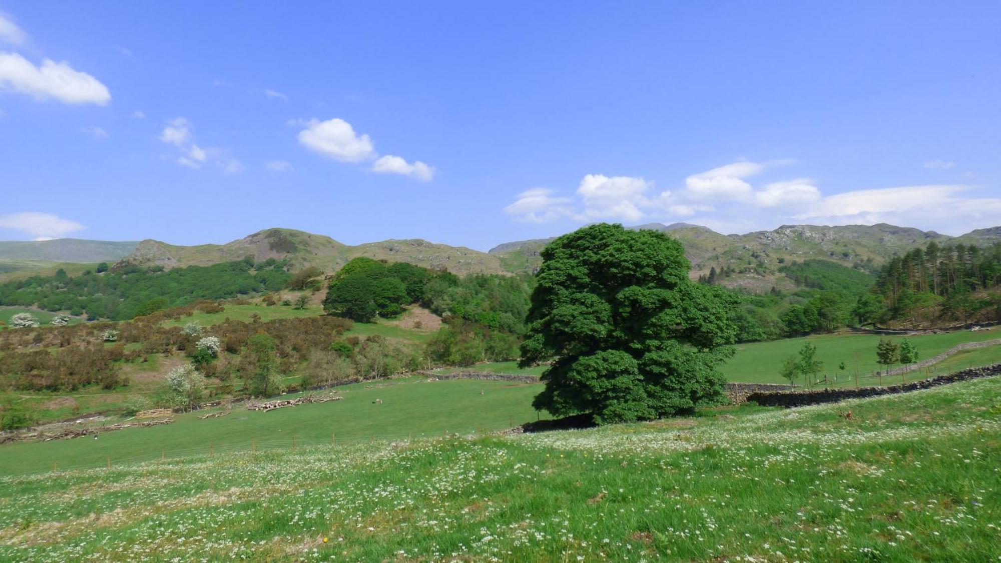 Renovated 5 Bedroom Farmhouse In Picturesque Eskdale, Lake District Εξωτερικό φωτογραφία